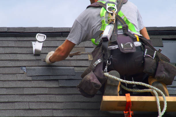 Best Roof Gutter Cleaning  in Mcarthur, OH