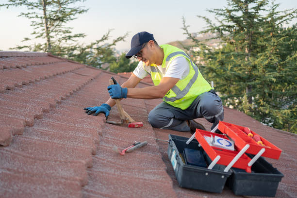 Best Gutter Installation and Roofing  in Mcarthur, OH